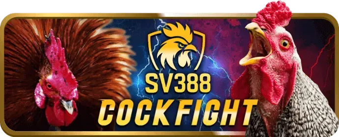 Các bước kiểm soát dữ liệu cá nhân tại vivu88